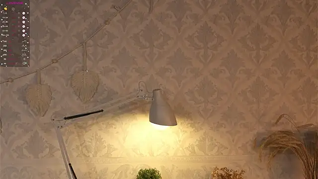 happywhores online show from 01-25-25, 04:02