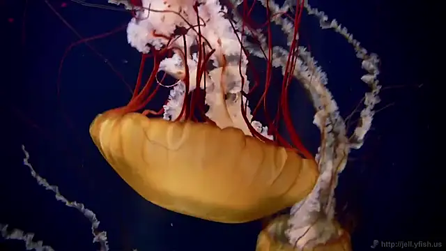 Snapshot of streamy_test12 chatting on 02-05-26, 09:36 streamy test12 online show from 02-05-26, 09:36