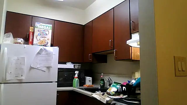 DreamvilleINC online show from 11-02-25, 11:51