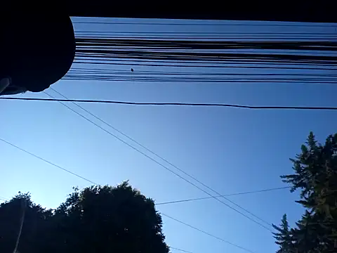 weedmanhot28 online show from 01-30-25, 12:48