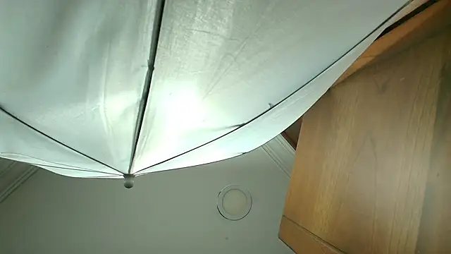 Snapshot of stella_xue chatting on 03-19-25, 08:22 stella xue online show from 03-19-25, 08:22