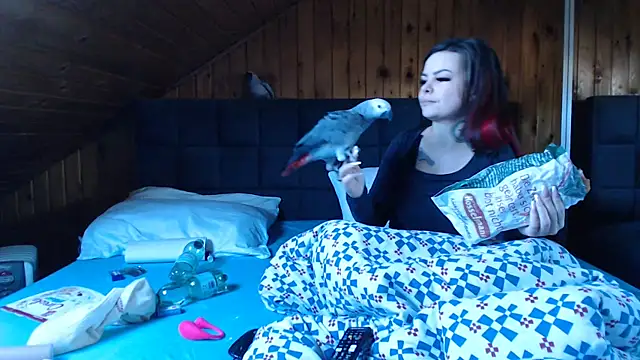 BoeseMoni1998 online show from 01-28-25, 11:17