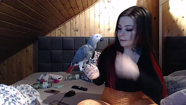 BoeseMoni1998 online show from 02-22-25, 05:55