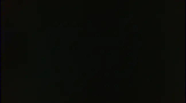 Snapshot of Geisha_Seniers chatting on 01-14-25, 03:15 Geisha Seniers online show from 01-14-25, 03:15