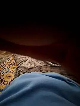 Snapshot of mehdi_haway chatting on 10-31-25, 03:02 mehdi haway online show from 10-31-25, 03:02