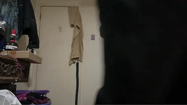 pipeload1275 online show from 03-05-26, 03:24