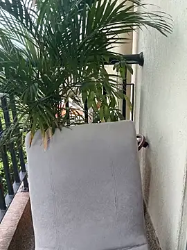 Pretty Isadora online show from 03-04-26, 04:57