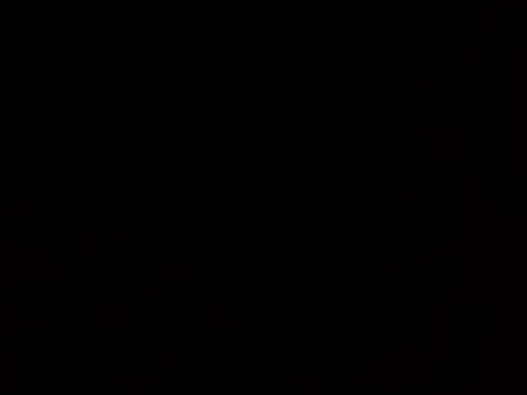 thatdude9 9 9 online show from 03-31-26, 10:48