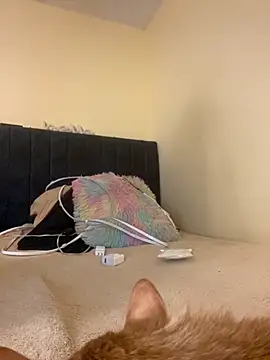 liaqueen610 online show from 11-13-25, 11:14