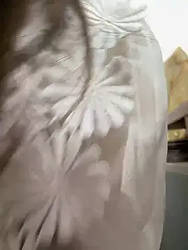 Efangfang online show from 02-16-25, 08:43