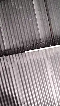 mendelicius online show from 02-11-26, 01:27