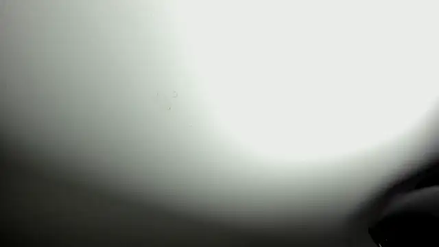 selene red  online show from 10-08-25, 03:42