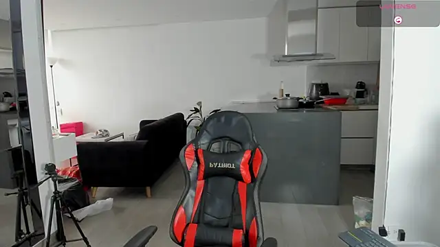 TROYWESLY- online show from 02-13-26, 03:41