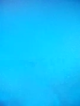 skrigul12 online show from 02-14-26, 03:31