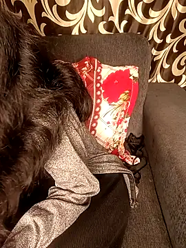 REVA DARLING online show from 01-11-25, 08:54