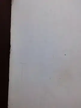 Snapshot of AmnionicDemeanor chatting on 11-02-25, 11:56 AmnionicDemeanor online show from 11-02-25, 11:56