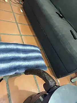 Snapshot of MrPatrick777 chatting on 04-02-26, 05:43 MrPatrick777 online show from 04-02-26, 05:43