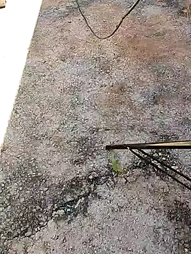 AmGlcasal online show from 01-02-25, 04:35