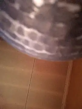 SashaahXXX online show from 02-12-26, 03:40