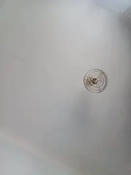 Snapshot of katymojadit chatting on 01-20-25, 03:28 katymojadit online show from 01-20-25, 03:28