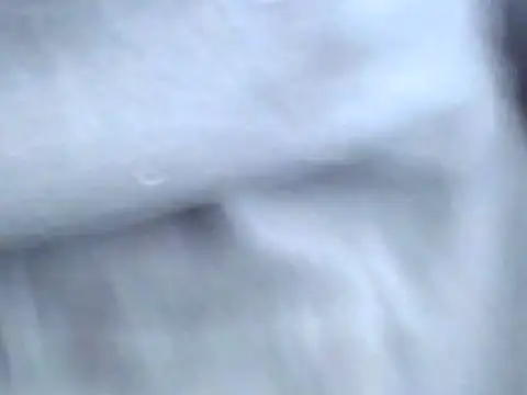 Snapshot of Bootiq chatting on 10-22-25, 09:53 Bootiq online show from 10-22-25, 09:53