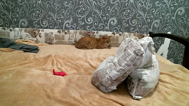 DennisXCaroll online show from 02-19-25, 05:27