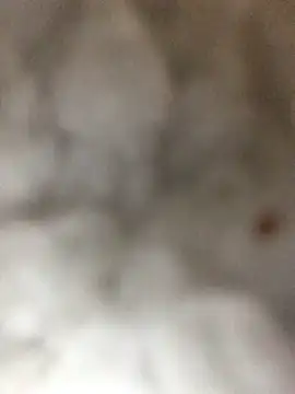 Snapshot of indie-rayne chatting on 01-03-25, 09:05 indie-rayne online show from 01-03-25, 09:05