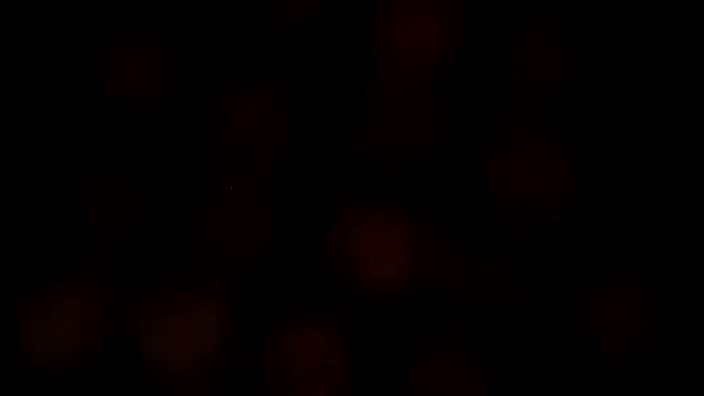 leatherz69 online show from 02-27-25, 07:12