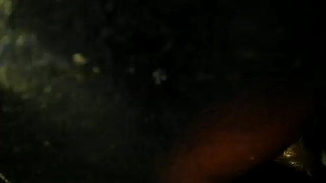 Snapshot of leatherz69 chatting on 05-22-26, 02:40 leatherz69 online show from 05-22-26, 02:40