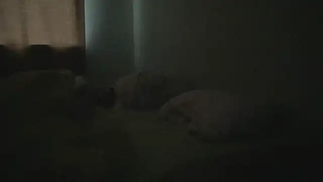 Diamond Tyler online show from 02-03-25, 04:57