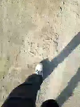 Snapshot of murokkk31 chatting on 12-31-24, 11:20 murokkk31 online show from 12-31-24, 11:20