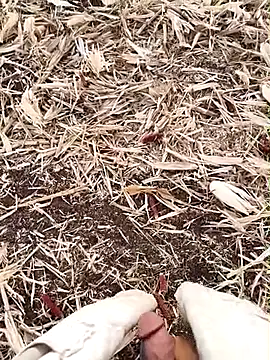 Snapshot of murokkk31 chatting on 09-15-25, 02:55 murokkk31 online show from 09-15-25, 02:55