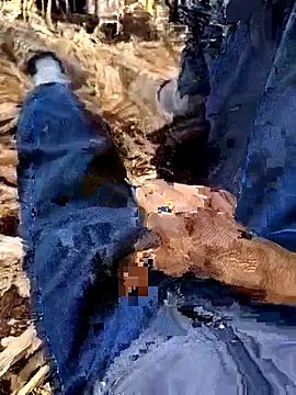 Snapshot of murokkk31 chatting on 12-04-25, 08:34 murokkk31 online show from 12-04-25, 08:34