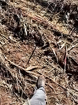 Snapshot of murokkk31 chatting on 12-14-25, 08:41 murokkk31 online show from 12-14-25, 08:41