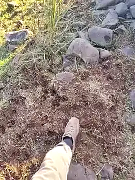 Snapshot of murokkk31 chatting on 12-16-25, 12:21 murokkk31 online show from 12-16-25, 12:21