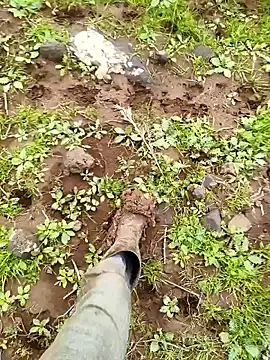 Snapshot of murokkk31 chatting on 03-29-26, 06:57 murokkk31 online show from 03-29-26, 06:57