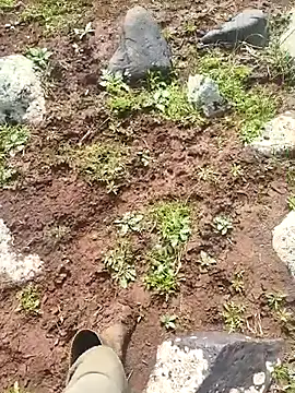 Snapshot of murokkk31 chatting on 03-30-26, 07:09 murokkk31 online show from 03-30-26, 07:09