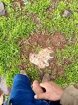 Snapshot of murokkk31 chatting on 04-01-26, 01:52 murokkk31 online show from 04-01-26, 01:52