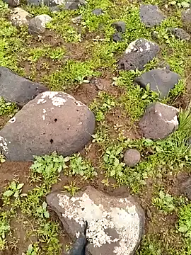 Snapshot of murokkk31 chatting on 04-03-26, 09:29 murokkk31 online show from 04-03-26, 09:29