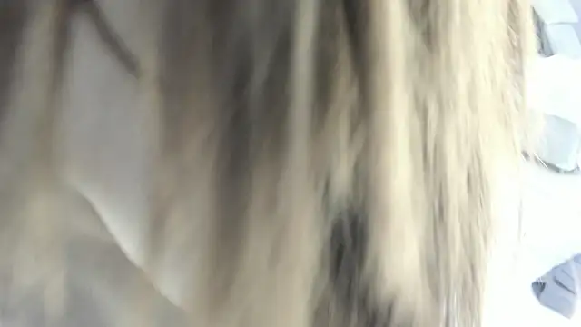 celestica rose online show from 02-02-26, 10:30