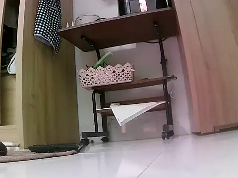 Snapshot of -SingleMom- chatting on 10-04-25, 05:11 -SingleMom- online show from 10-04-25, 05:11