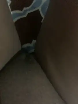 Snapshot of WyvaxxNikkie chatting on 01-23-25, 05:31 WyvaxxNikkie online show from 01-23-25, 05:31