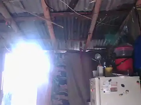 Alanagracia online show from 01-14-25, 12:56