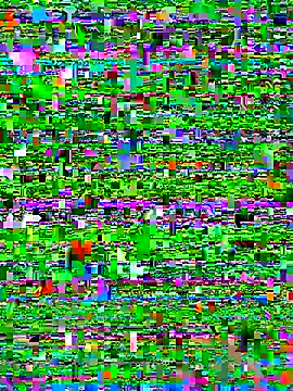 Snapshot of bad-boy-2002 chatting on 10-05-25, 02:37 bad-boy-2002 online show from 10-05-25, 02:37