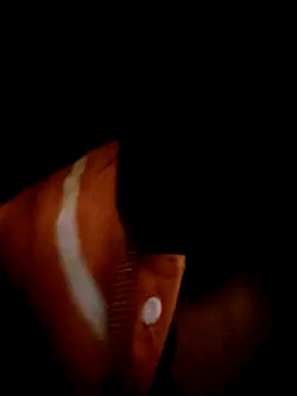 ale3J4a online show from 02-02-25, 06:48