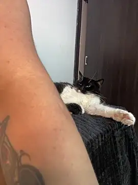 Leahstonee2 online show from 02-12-25, 12:05