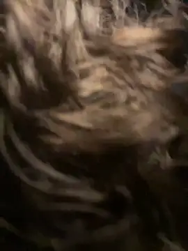 eva y marcelo online show from 02-15-25, 11:03