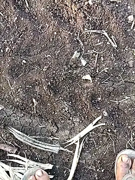 sexy yashu 006 online show from 11-10-25, 11:31