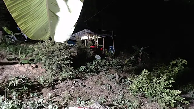 andreu mature online show from 10-08-25, 01:14