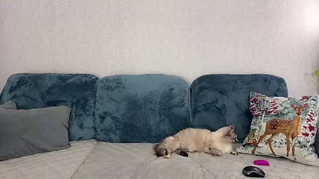 Victoria1Love online show from 03-10-25, 06:23